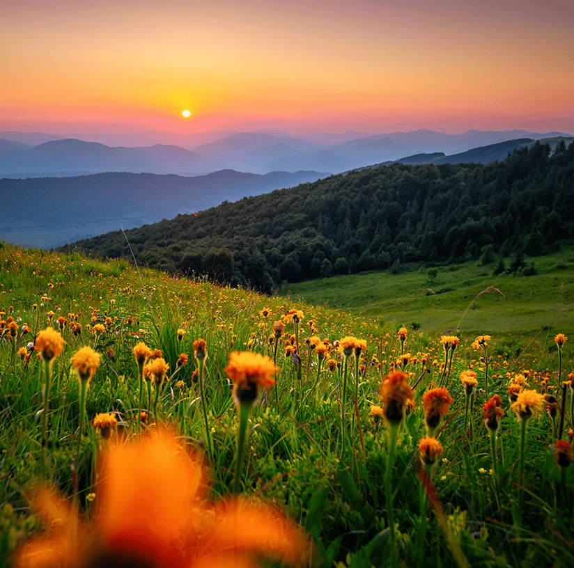 The sun setting over rolling hills