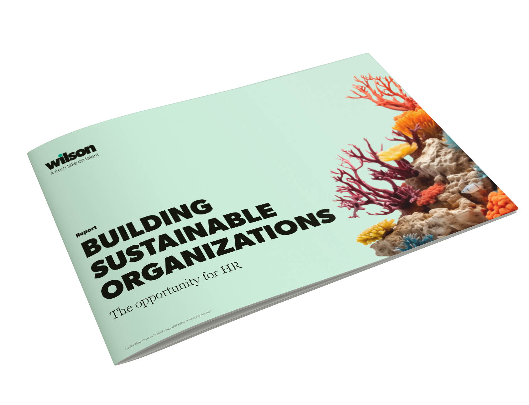 Building Sustainable Organizations: The opportunity for HR