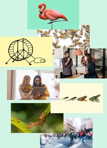 workforce-sustainability-form-image