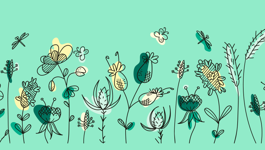 A field of wildflowers and different plants in an illustrative coloring style